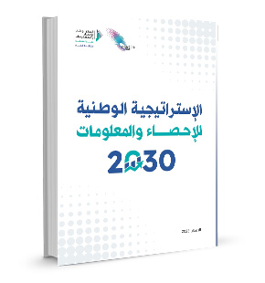 The National Statistics and Information Strategy 2030